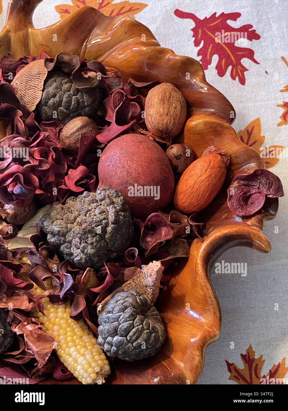 Saisonales Herbstdekor in einem Haus in Utah, USA, um Akzente im Innenraum des Hauses zu setzen. Stockfoto
