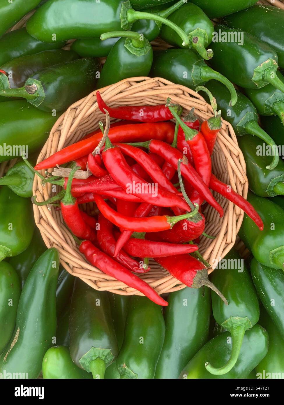 Heiße Paprika in einem Korb, umgeben von heißen grünen Paprika. Stockfoto