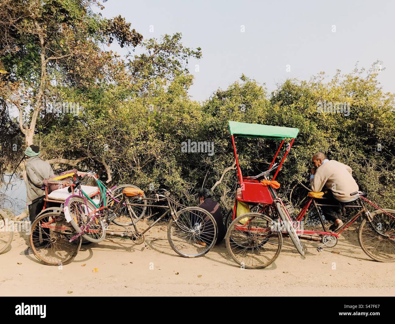 Fahrradrikschas im Bharatpur Bird Sanctuary in Rajasthan, die 2023 eingestellt und durch elektrische Rikschas ersetzt wurden - Smartphone-aufgenommenes Stockfoto