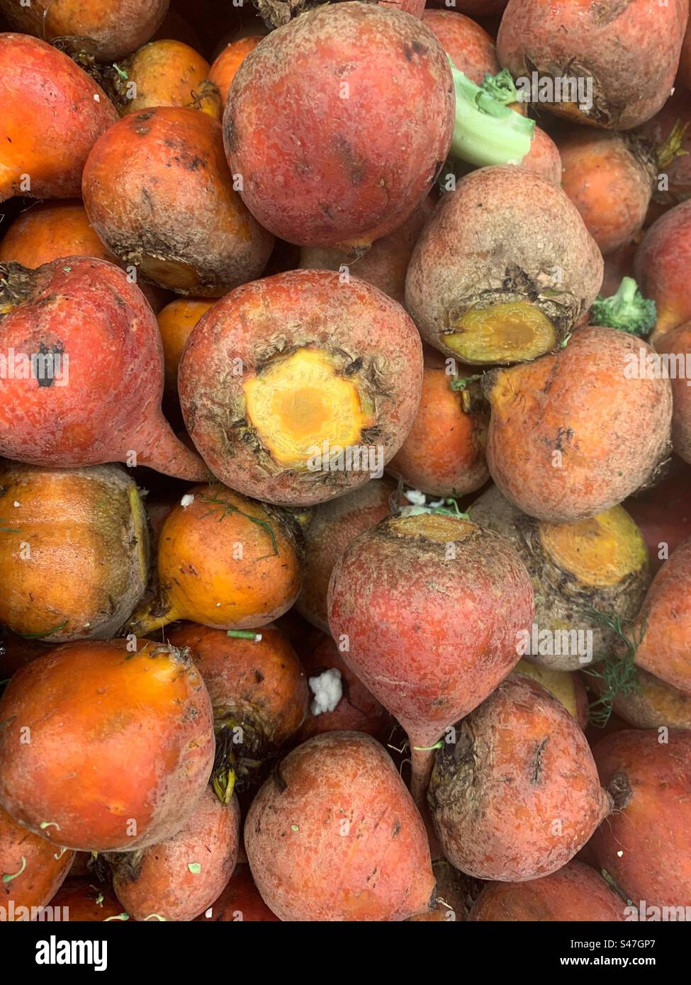 Gartenfrische Orangenrüben zum Verkauf auf dem lokalen Bauernmarkt. Stockfoto