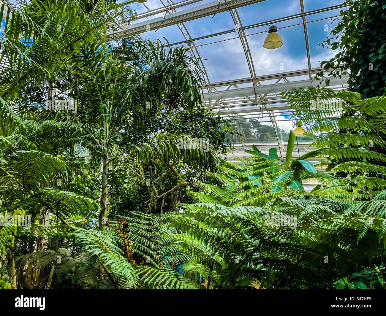 RHS Wisley Stockfoto