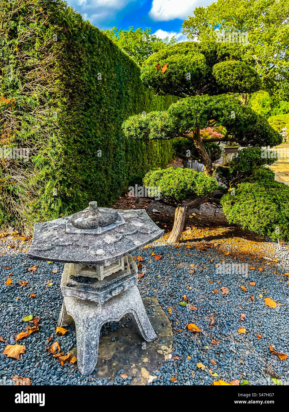 RHS Wisley Stockfoto