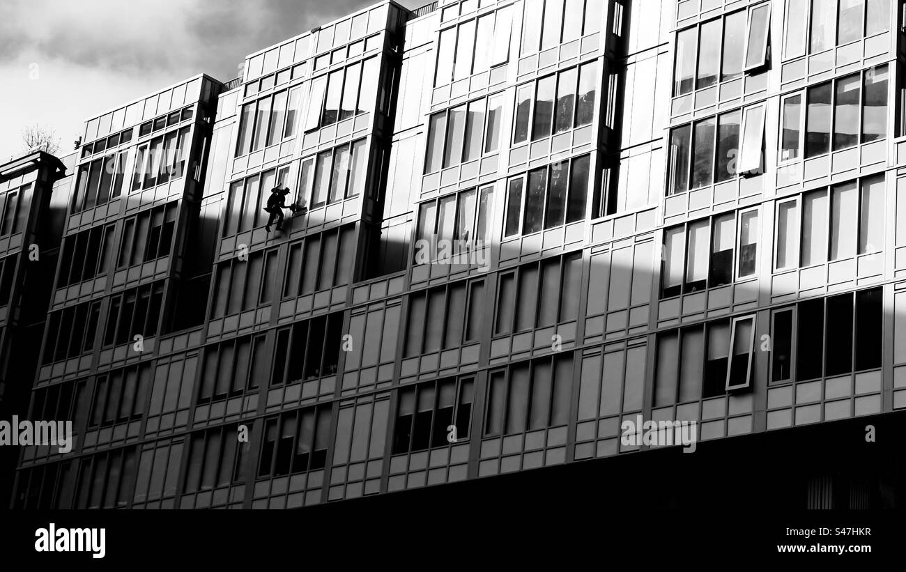 An einem sonnigen Morgen in Seattle, USA, wird eines der vielen Fenster auf der Ostseite des Gebäudes von einem Fensterreiniger gespült - Smartphone-aufgenommenes Stockfoto