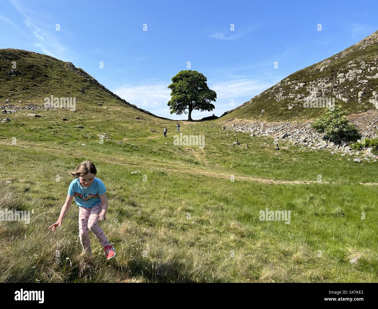 Mädchen, das im Juni 2023 bei Sycamore Gap in der Nähe der Hadrians Wall lief - Smartphone-aufgenommenes Stockfoto