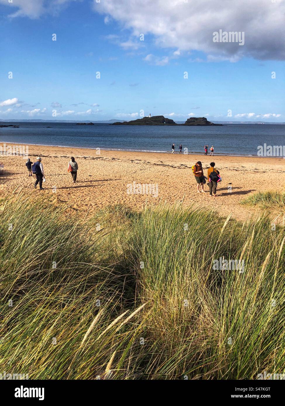 Menschen am Yellowcraig Beach, mit Blick auf den Leuchtturm Fidra, East Lothian Coast, Schottland - Smartphone-aufgenommenes Stockfoto
