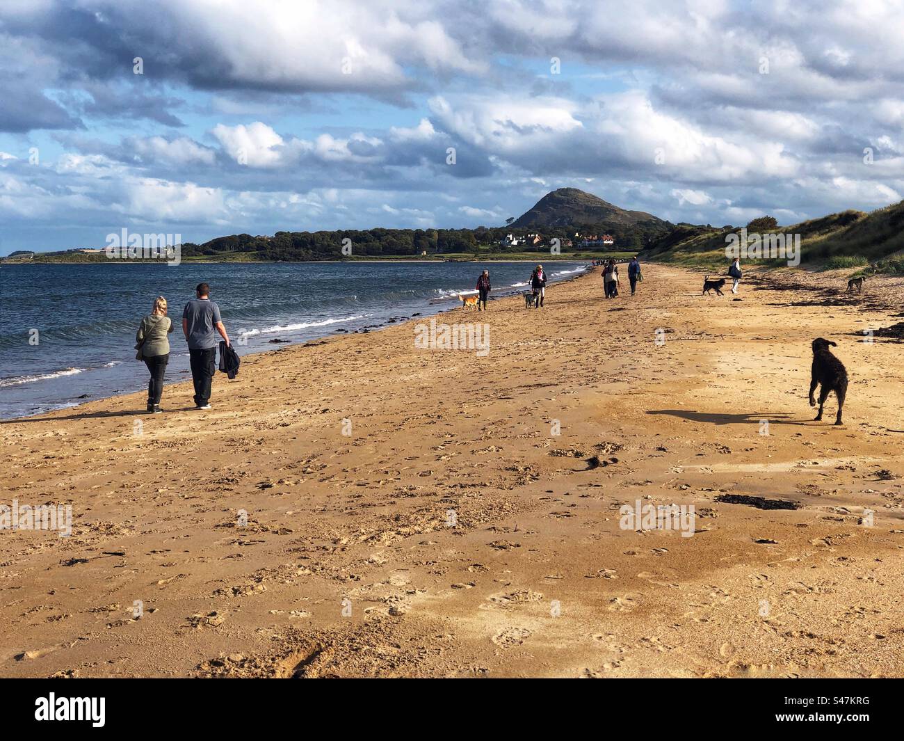 Leute laufen am Yellowcraig Beach mit Blick auf Berwick Law, North Berwick Schottland - Smartphone-aufgenommenes Stockfoto