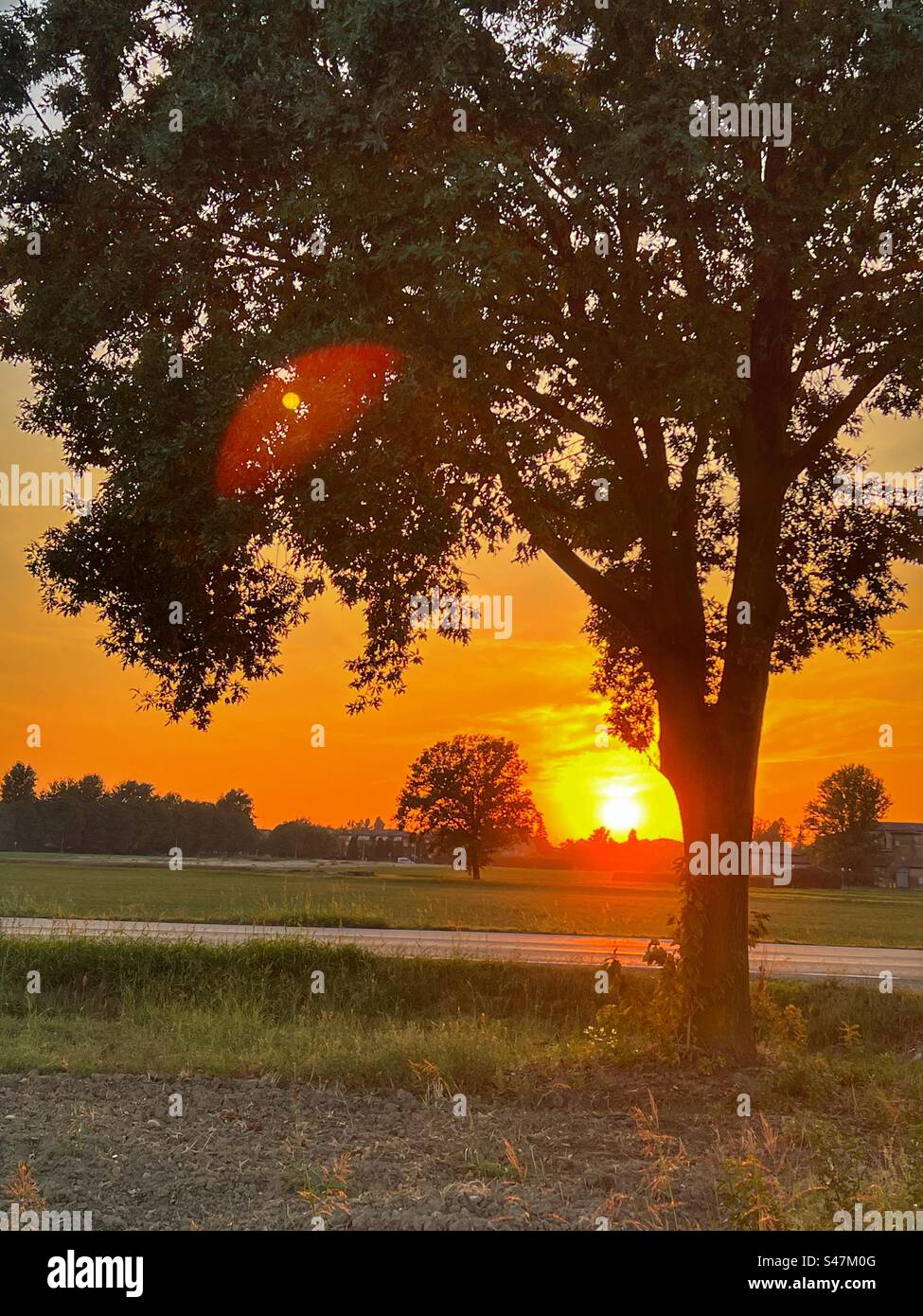 Sonnenuntergang auf dem Land, orangefarbener Himmel hinter der dunklen Silhouette eines Baumes, Landhäuser in der Ferne Stockfoto