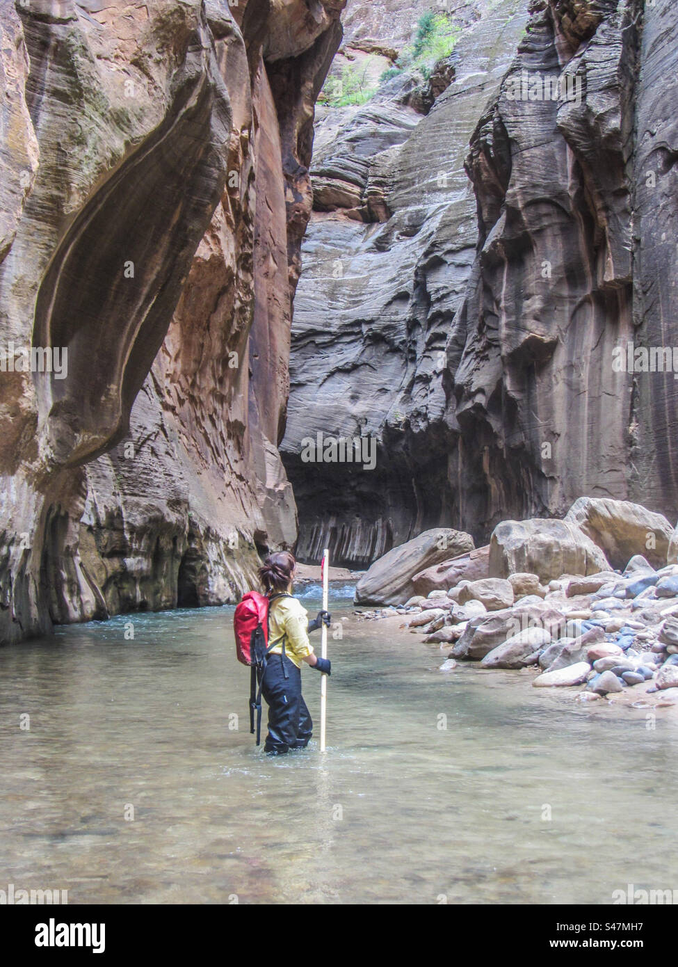 Wandern auf den Narrows im Zion National Park, Utah Stockfoto