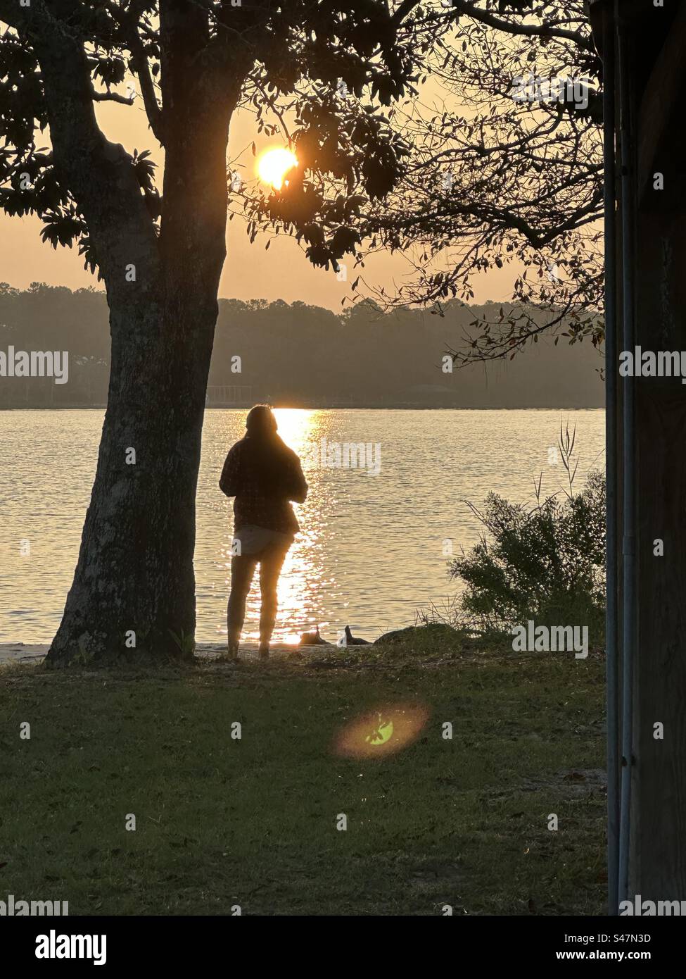 Eine junge Dame genießt einen schönen Sonnenaufgang. Der Morgen war so ruhig und erfrischend. Psychische Gesundheit die Vorteile des Sonnenaufgangs zu beobachten verbessern die Stimmung. Und vieles mehr. - Smartphone-aufgenommenes Stockfoto