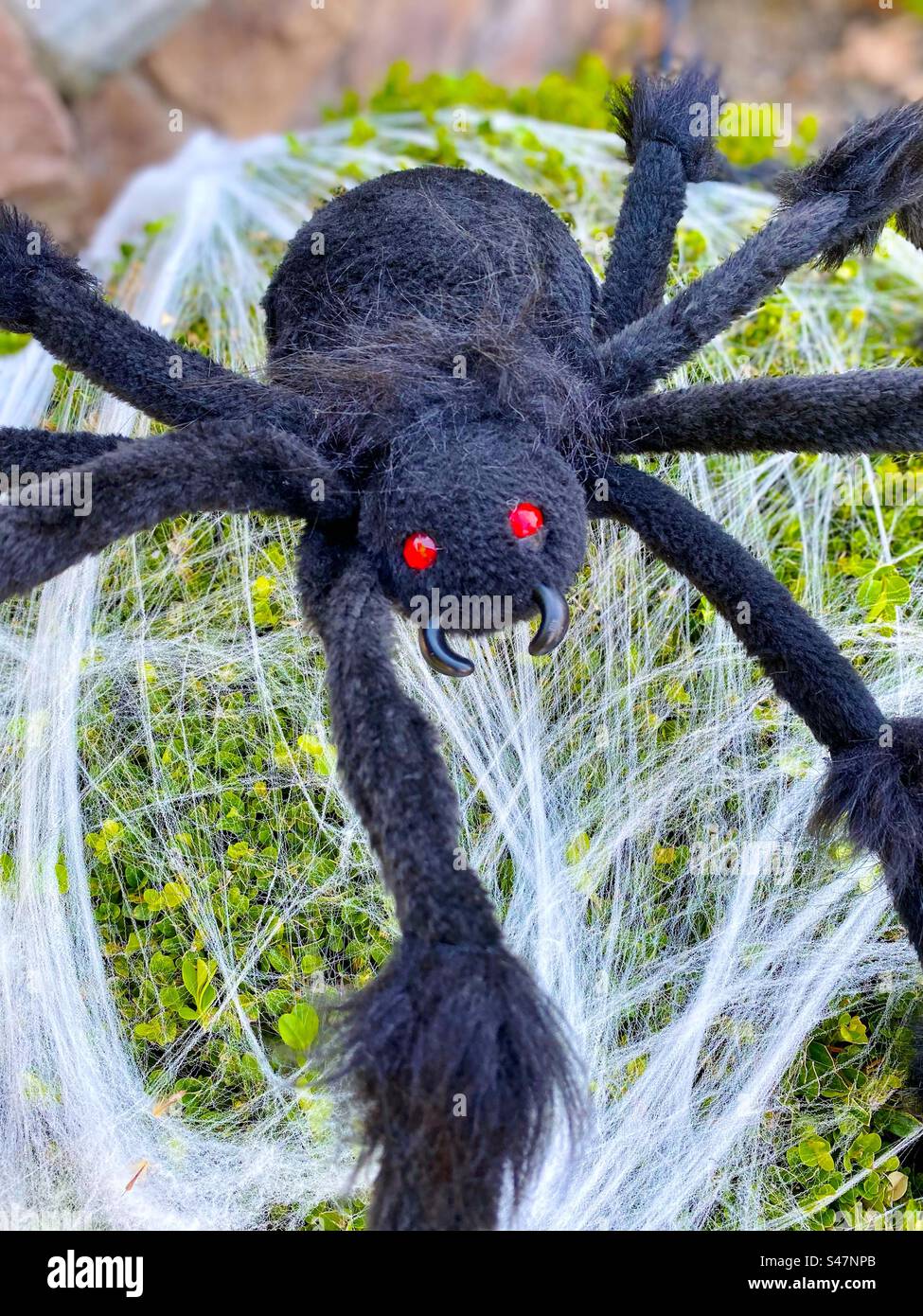 Halloween Spinnendekoration - Smartphone-aufgenommenes Stockfoto