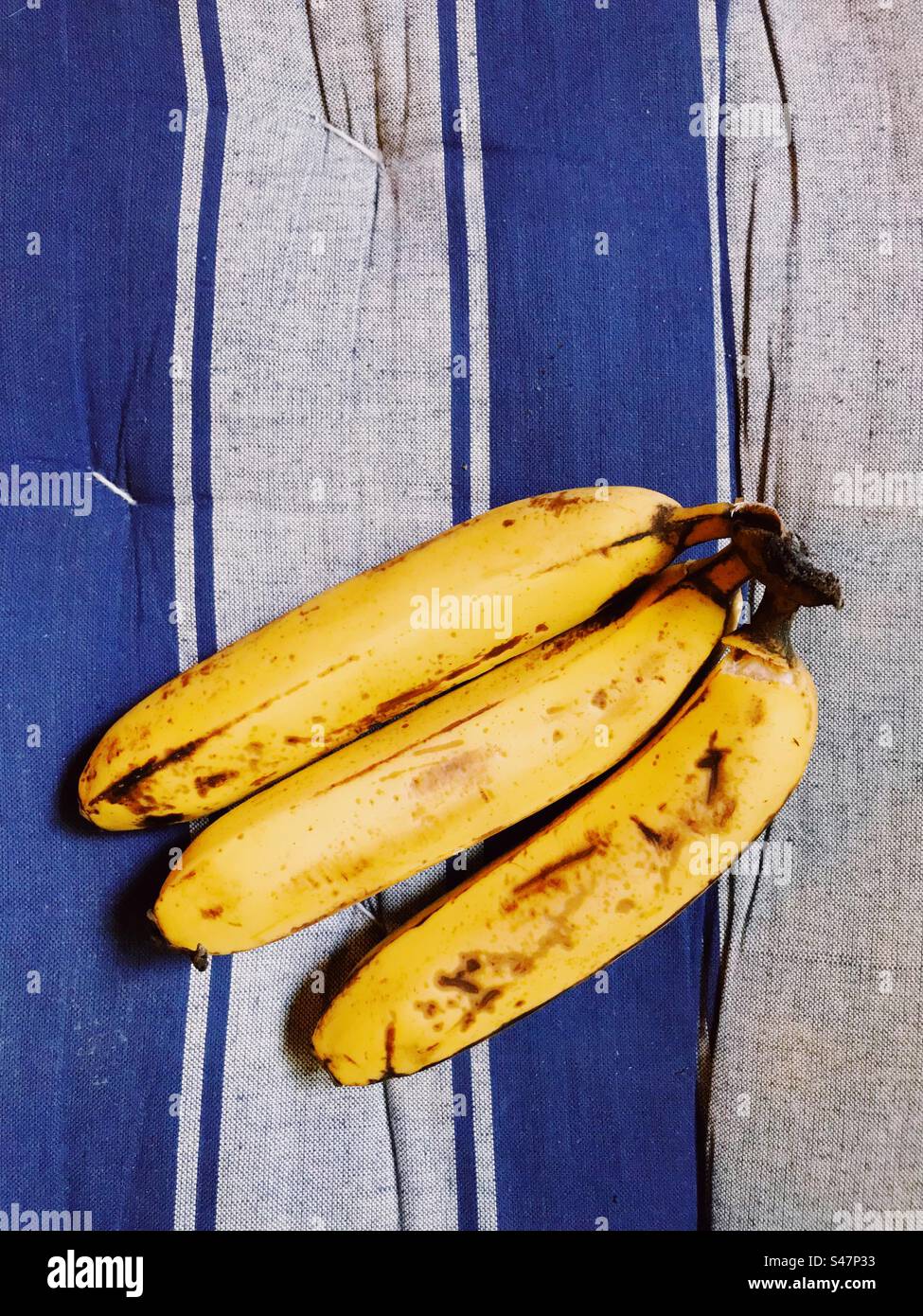 Bananen Draufsicht vor blauem und grauem Hintergrund - Smartphone-aufgenommenes Stockfoto