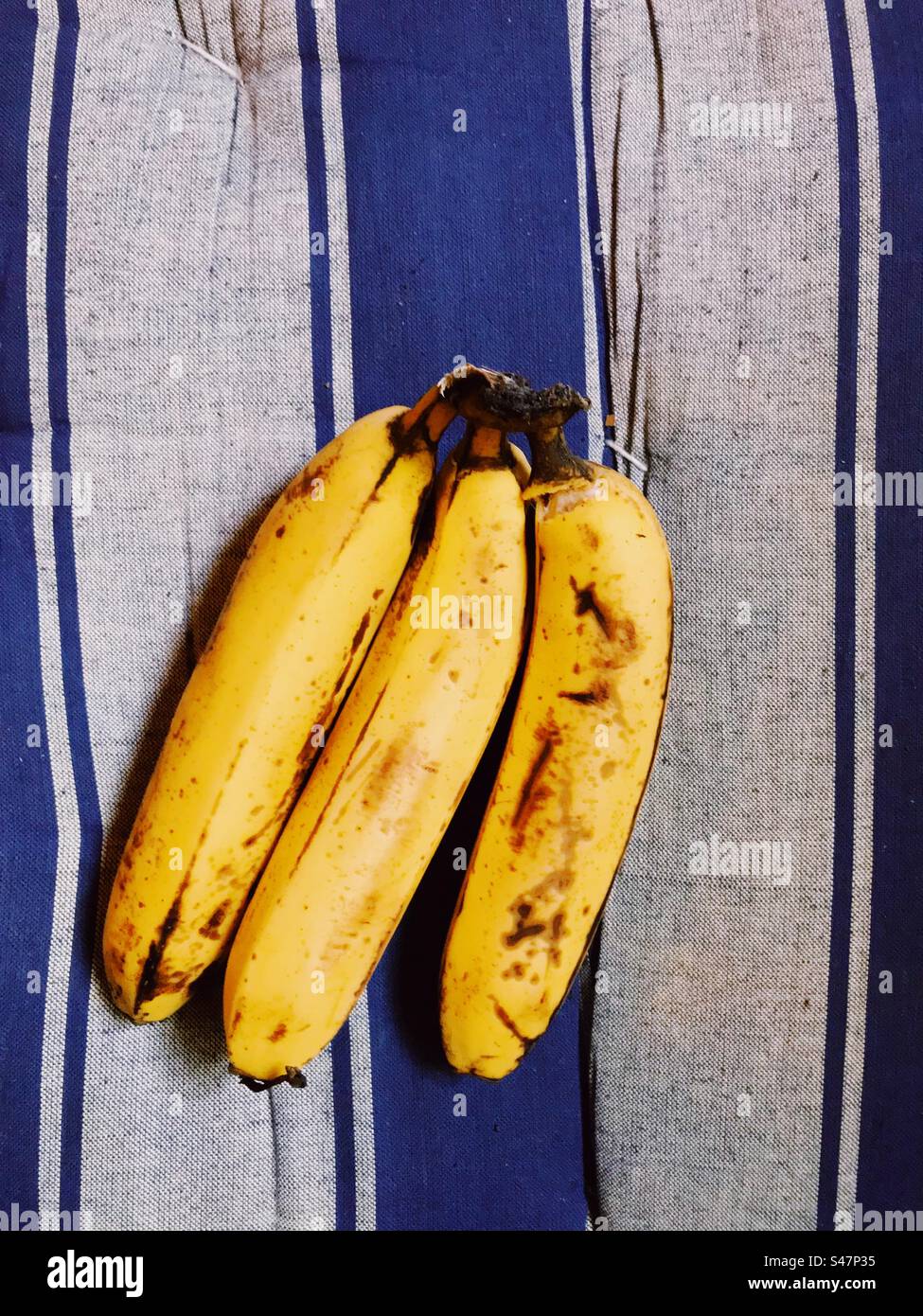 Bananen Draufsicht vor blauem und grauem Hintergrund - Smartphone-aufgenommenes Stockfoto