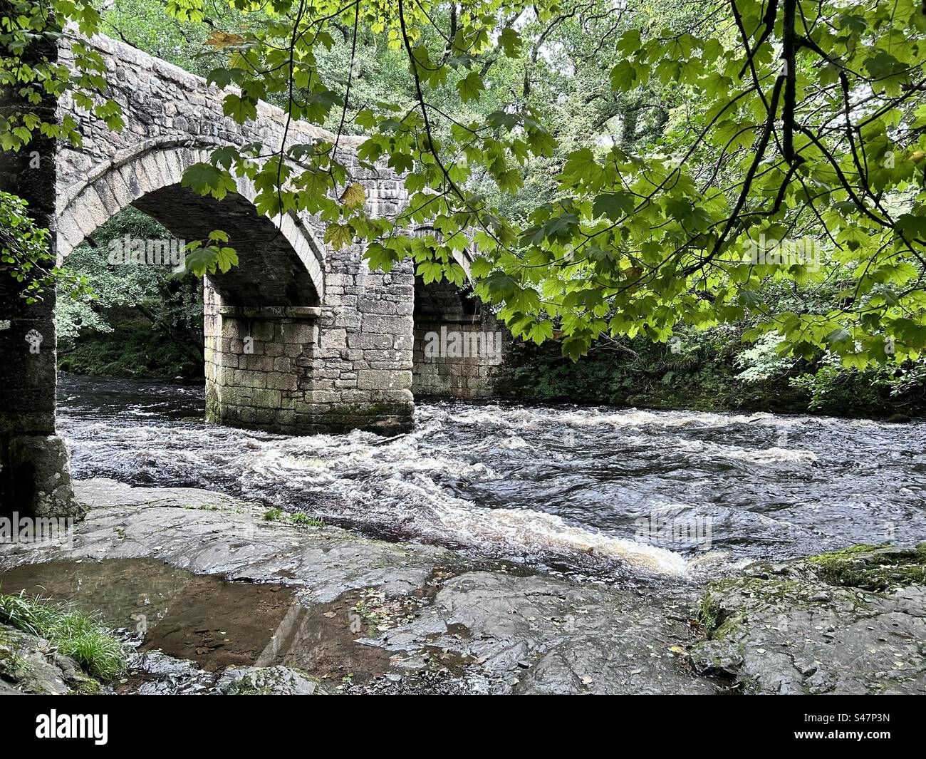 Fluss-Brücke - Smartphone-aufgenommenes Stockfoto