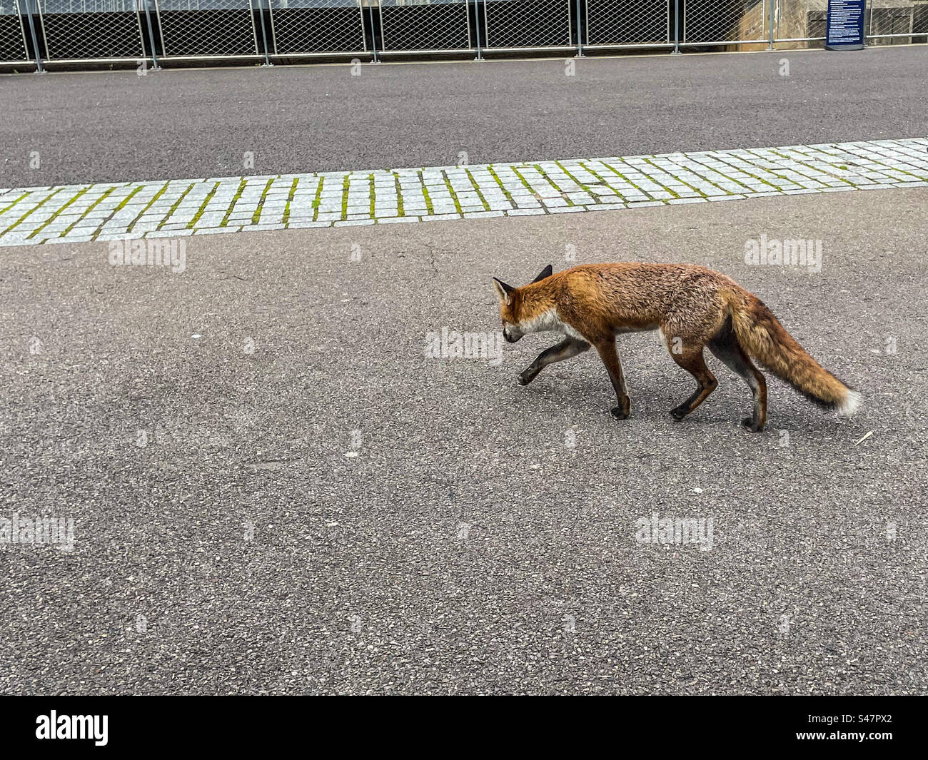 Tageslichtreparatur Stockfoto