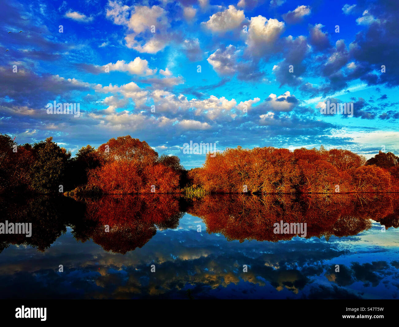 Himmel, Fluss, Wolken, Bäume, Blätter, Wälder, Jahreszeiten, Herbst Stockfoto