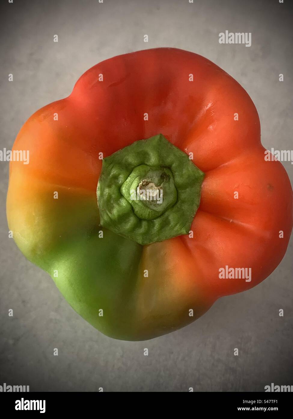 Es ist kein Regenbogen erforderlich, um Regenbogenfarben zu haben Stockfoto