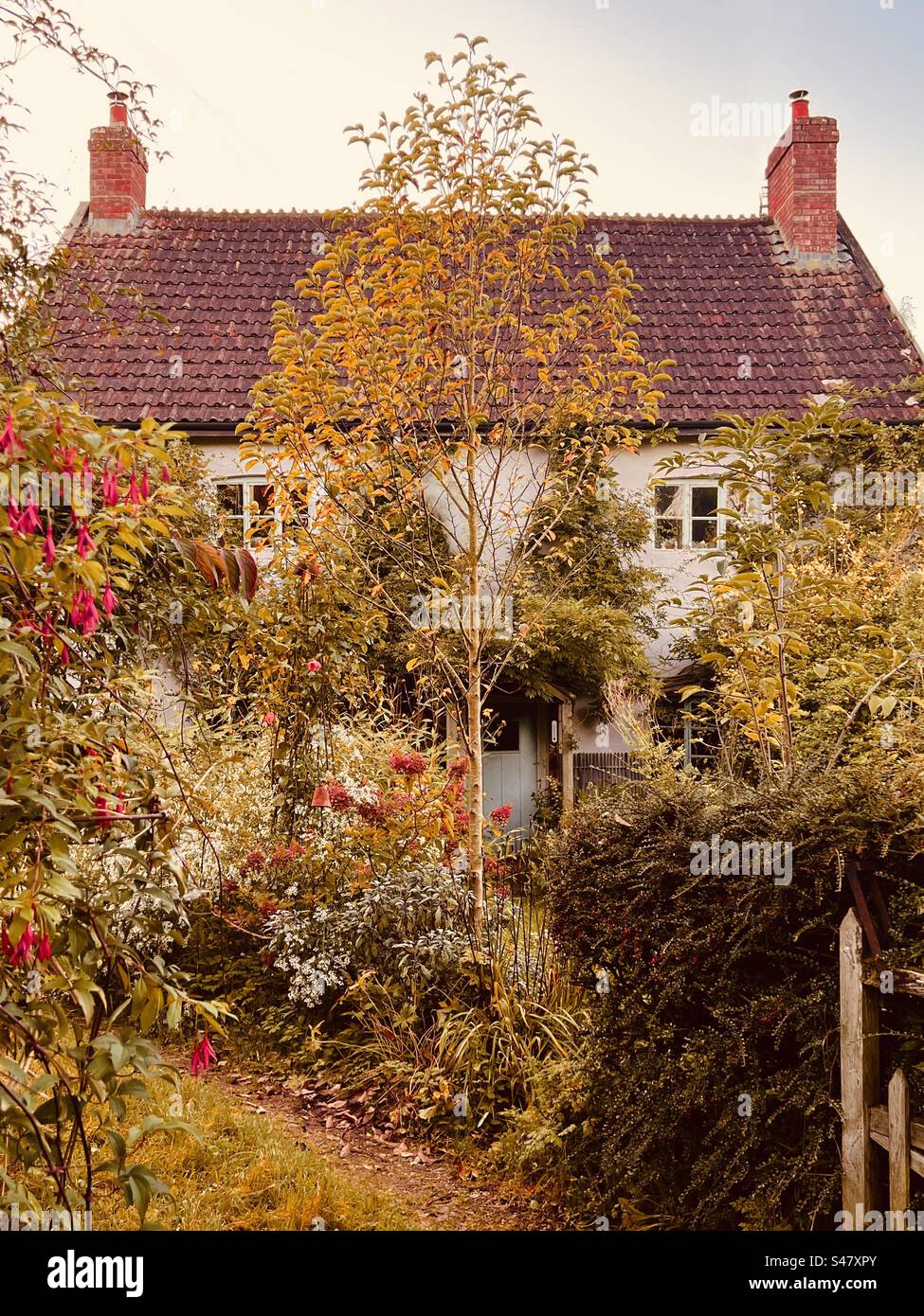 Cottage core Fotos und Bildmaterial in hoher Auflösung Alamy