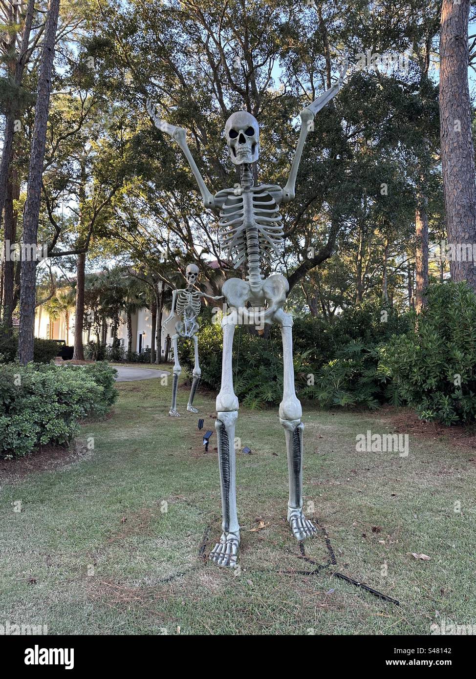 Große Outdoor Skelett Halloween Deko Stockfoto