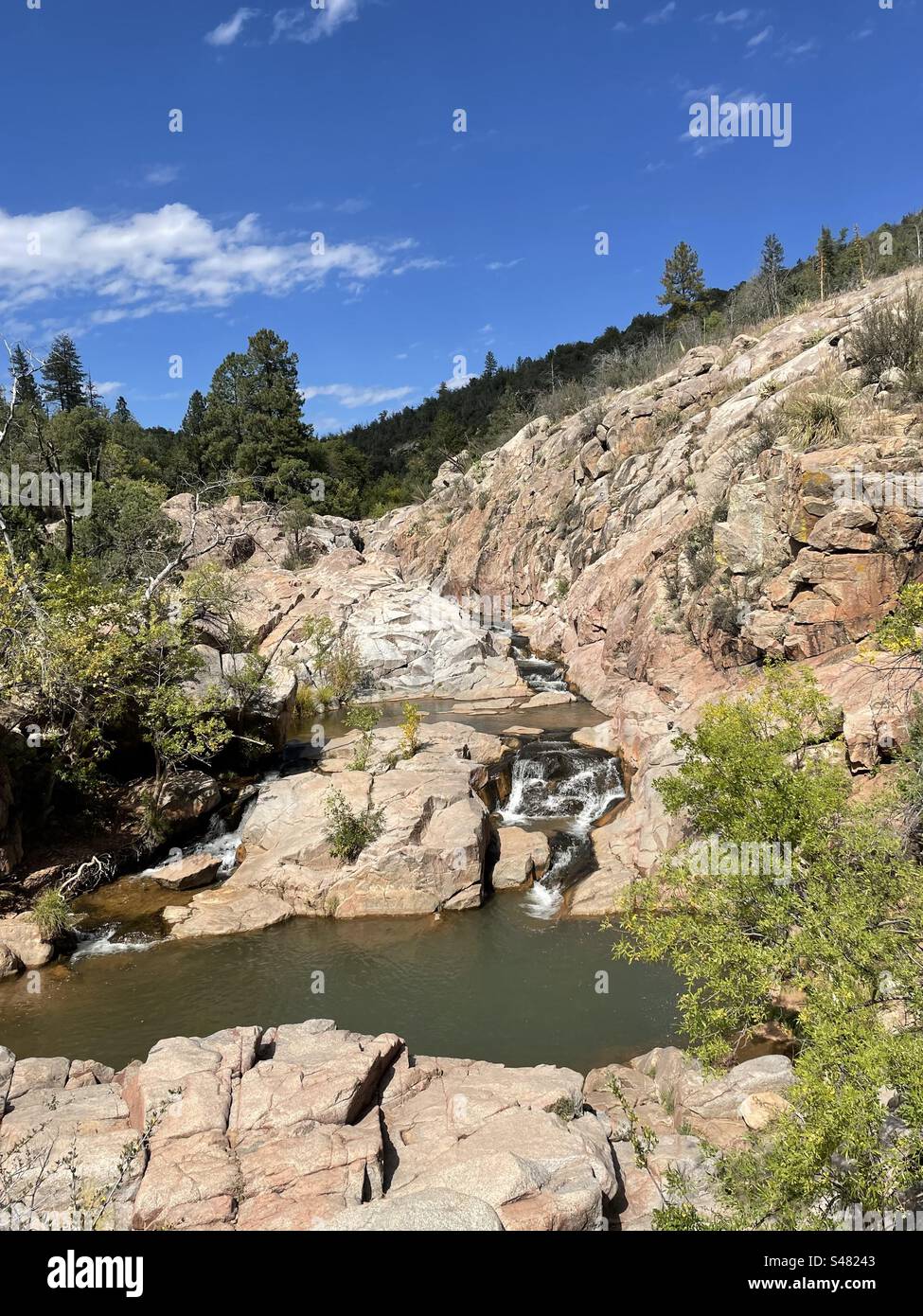 East Verde River Falls, natürliche Felsen Schwimmen Loch, Water Wheel Falls Trail, rosa Granitfelsen, frühe Herbstblätter, hoch aufragende Kiefern, hellblauer Himmel und schimmernde weiße Wolken, Payson, Arizona Stockfoto