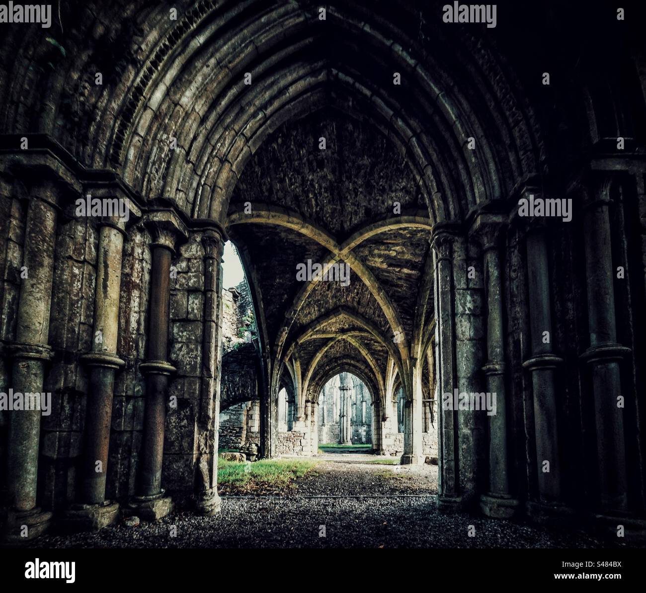 Margam Abbey im Margam Park in Südwales, Großbritannien. Stockfoto