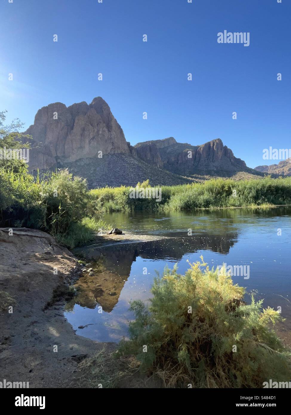 Salt River Reflections, Superstition Mountains, strahlend blauer Himmel, Tonto National Forest, North Water Users Circle, Mesa, Arizona Stockfoto