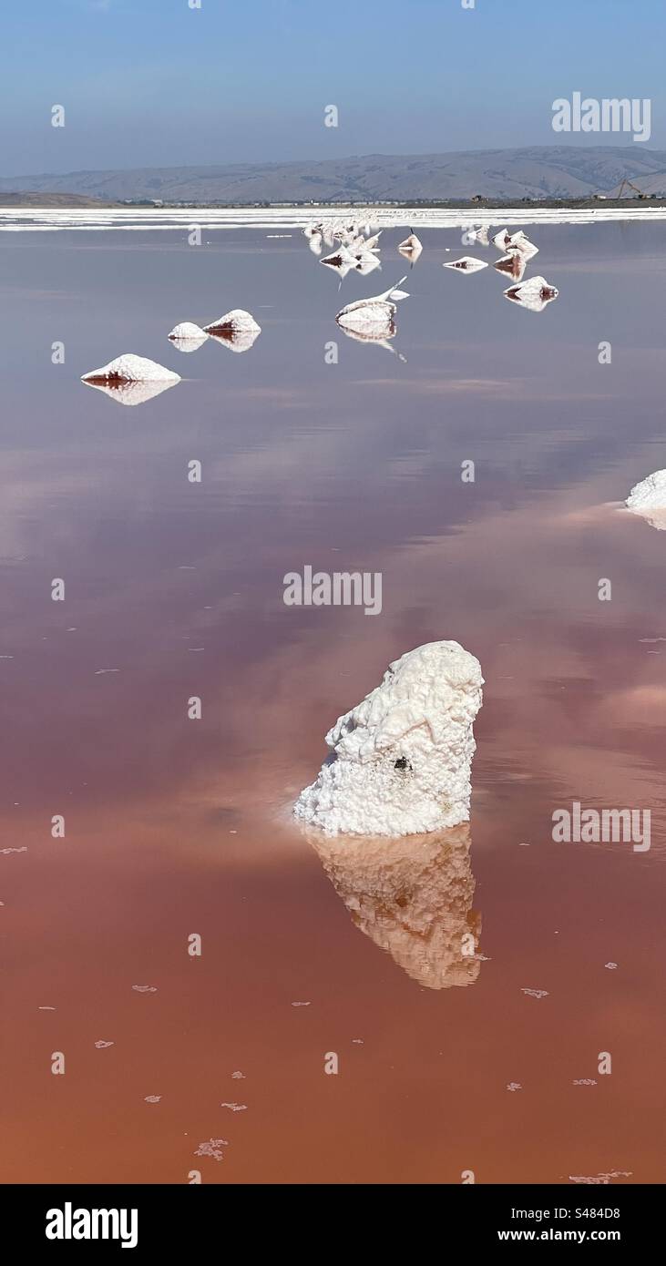 Alviso Marina County Park Stockfoto