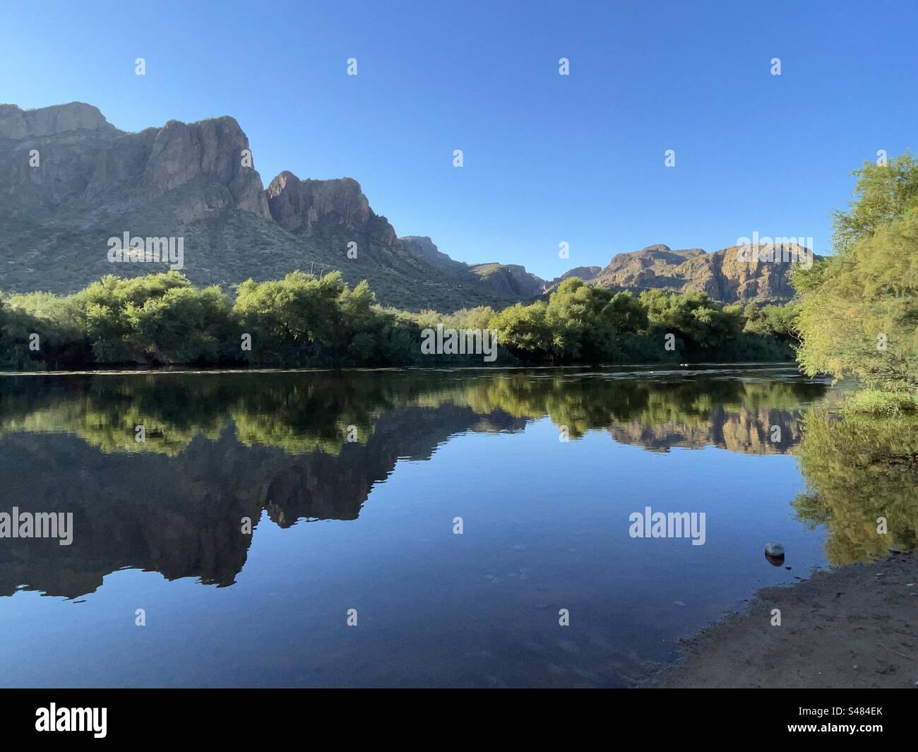 Salt River Reflections, Superstition Mountains, goldene Herbstfarben, strahlend blauer Himmel, Tonto National Forest, North Water Users Circle, Mesa, Arizona Stockfoto