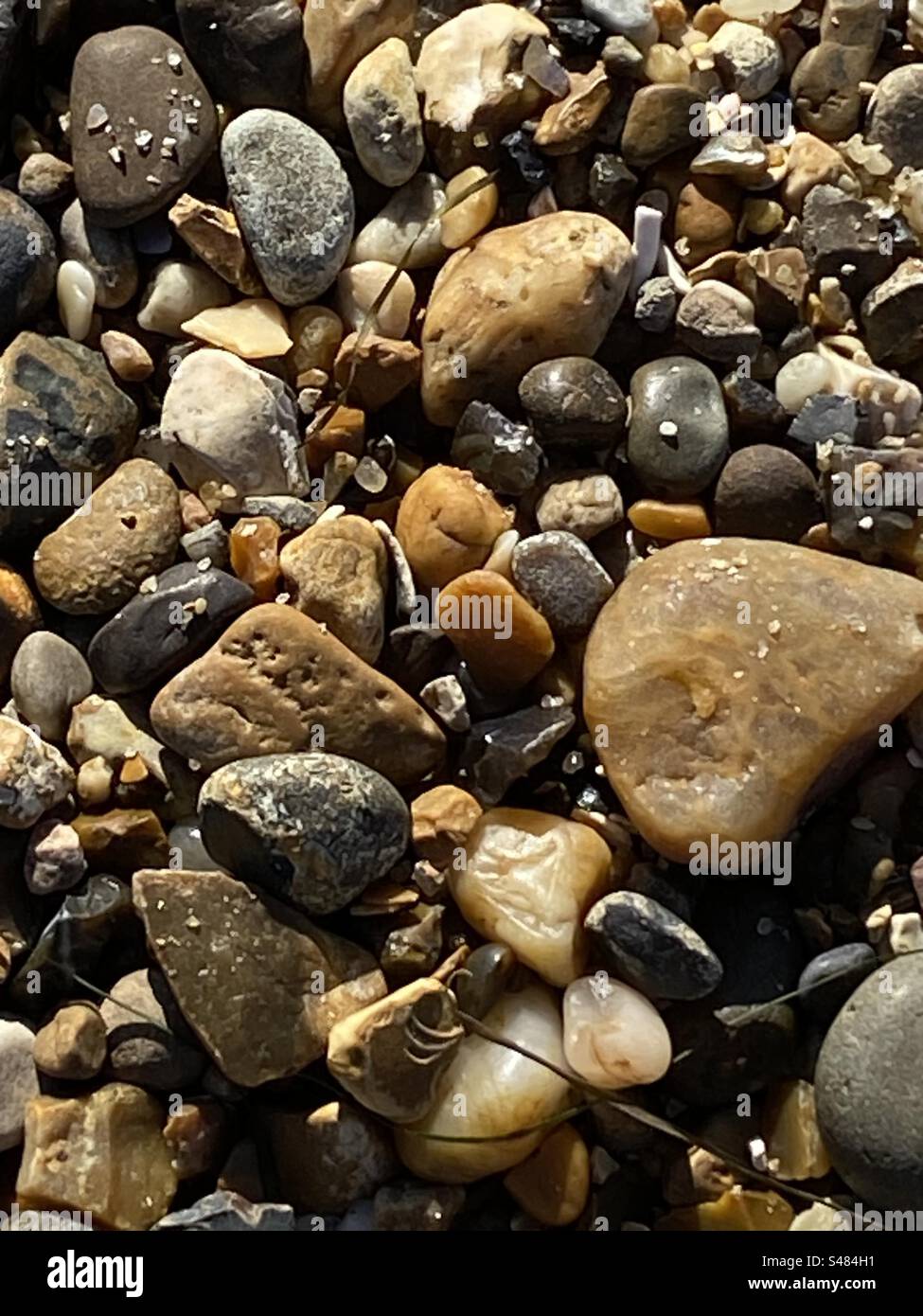 Verschiedenfarbige Strandkiesel Stockfoto