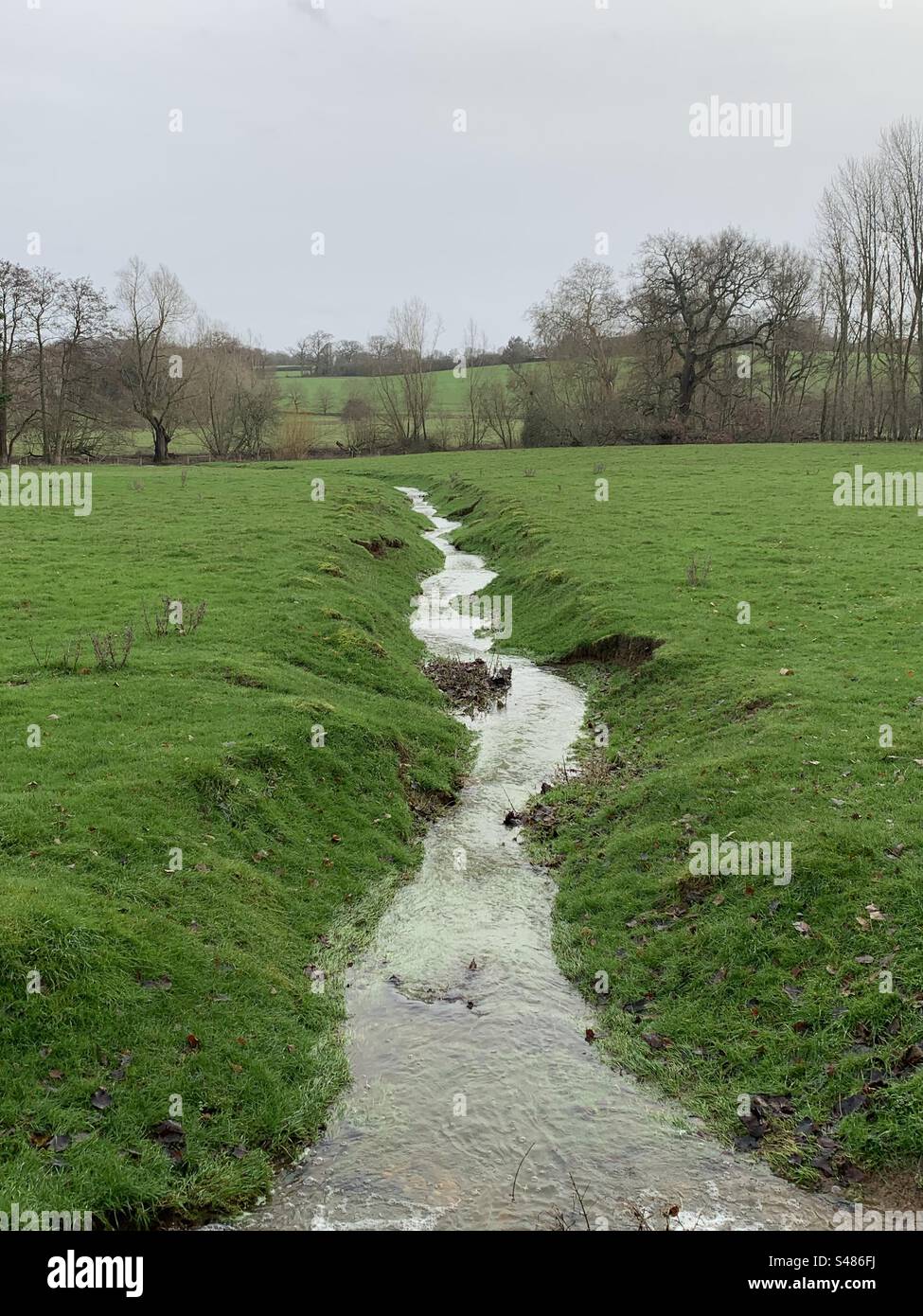 Stream in Suffolk, Großbritannien Stockfoto