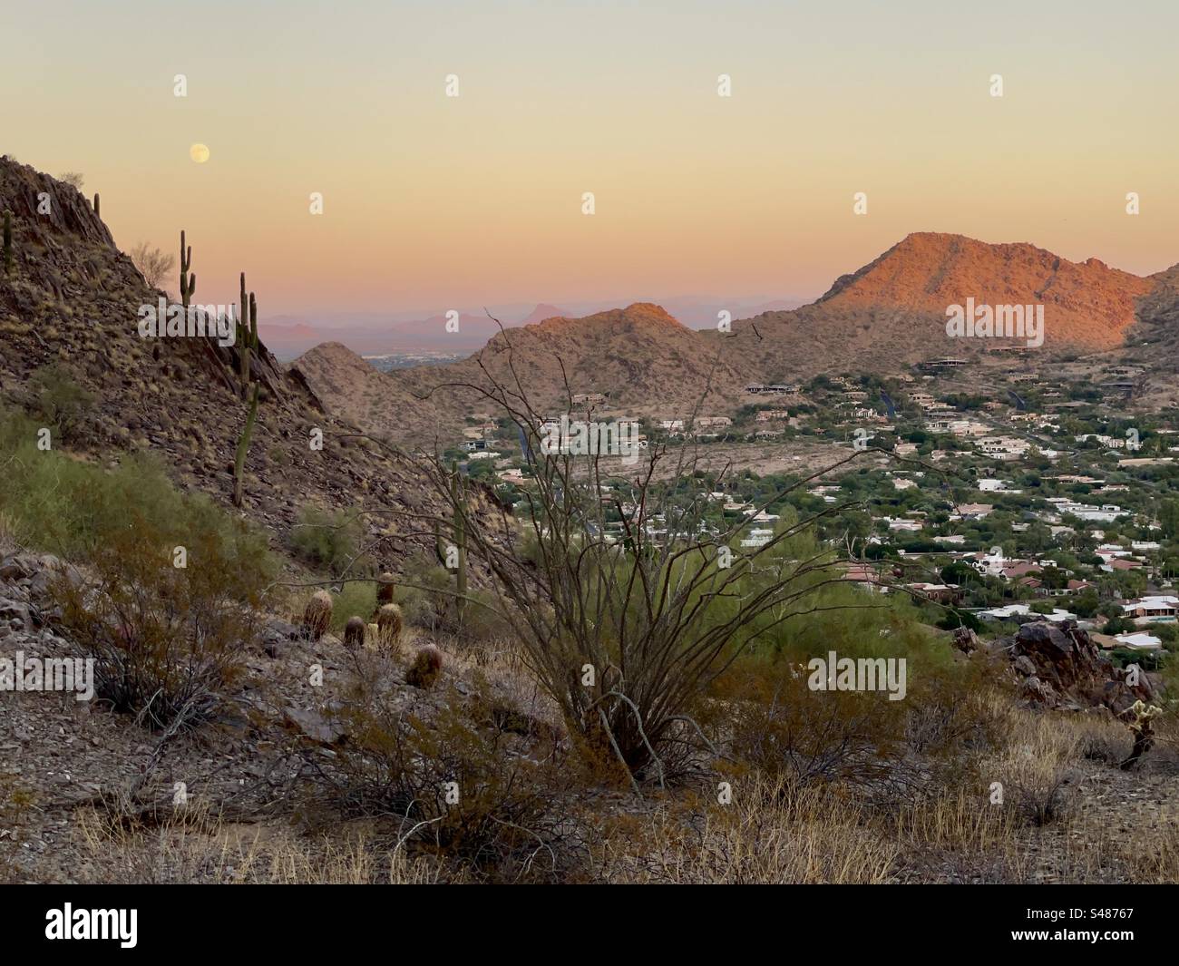 Vollmond bei Sonnenuntergang, orangefarbener Himmel, Saguaros, Ocotillo-Kakteen, Schatten in den Bergen der Wüste, Phoenix Mountains Preserve, Paradise Valley, Arizona Stockfoto