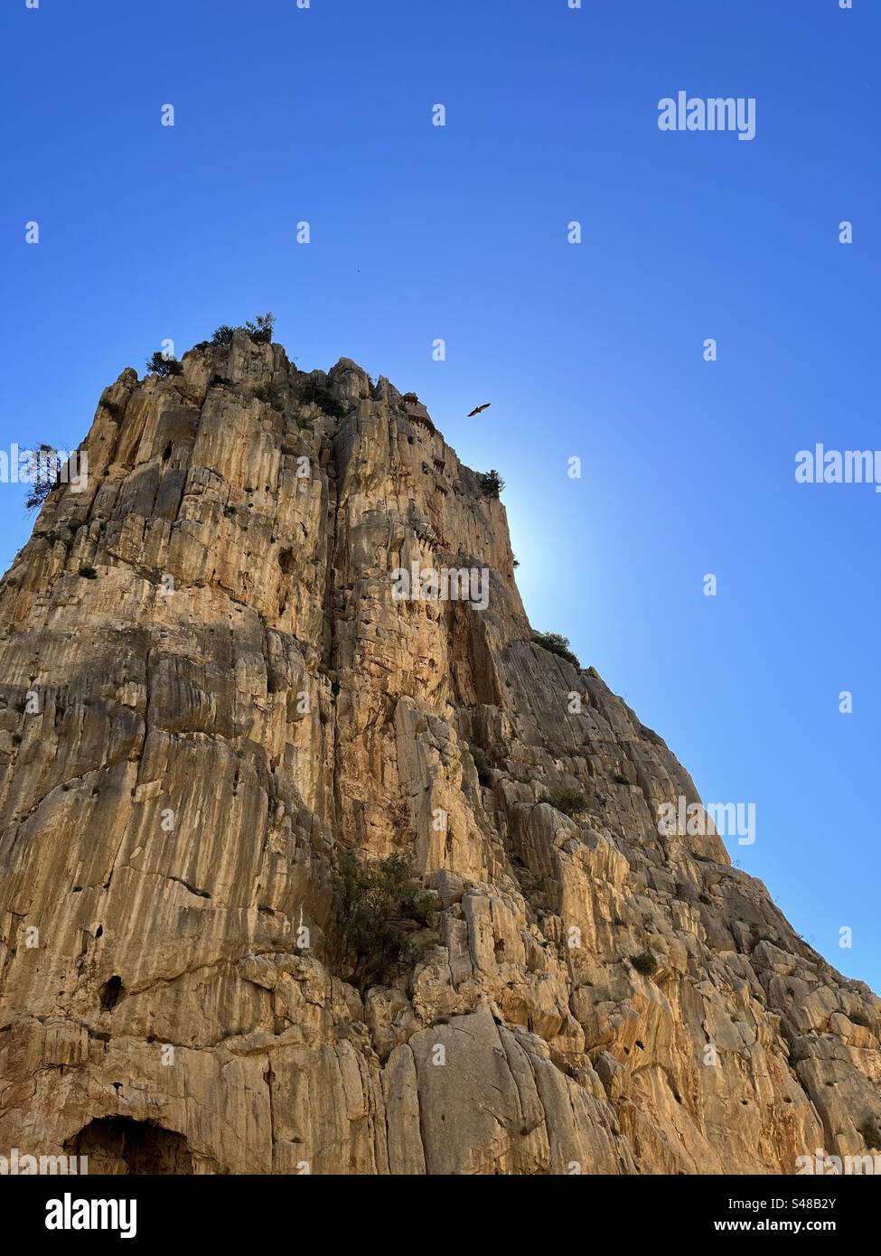 Caminito del Rey, Málaga, Spanien, Natur, Berge, Rock, Sonne, Vogel, Adler Stockfoto