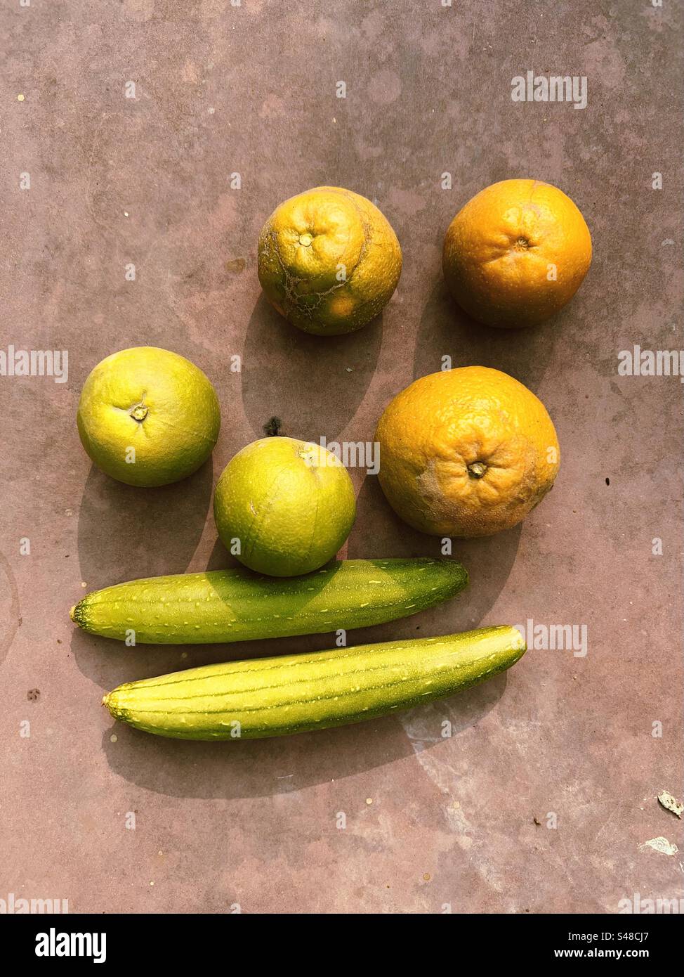 Bio-Orangen, süße Limetten und Ridge Kürbisse zum Verkauf auf einem Bio-Bauernmarkt - Smartphone-aufgenommenes Stockfoto