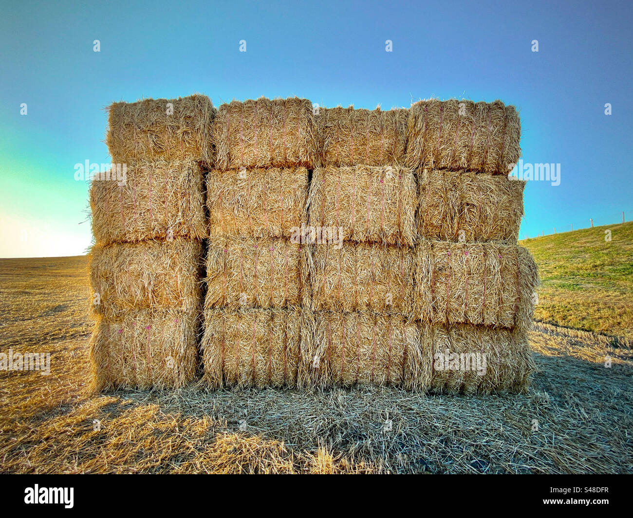 Heuballen in der toskanischen Landschaft Stockfoto