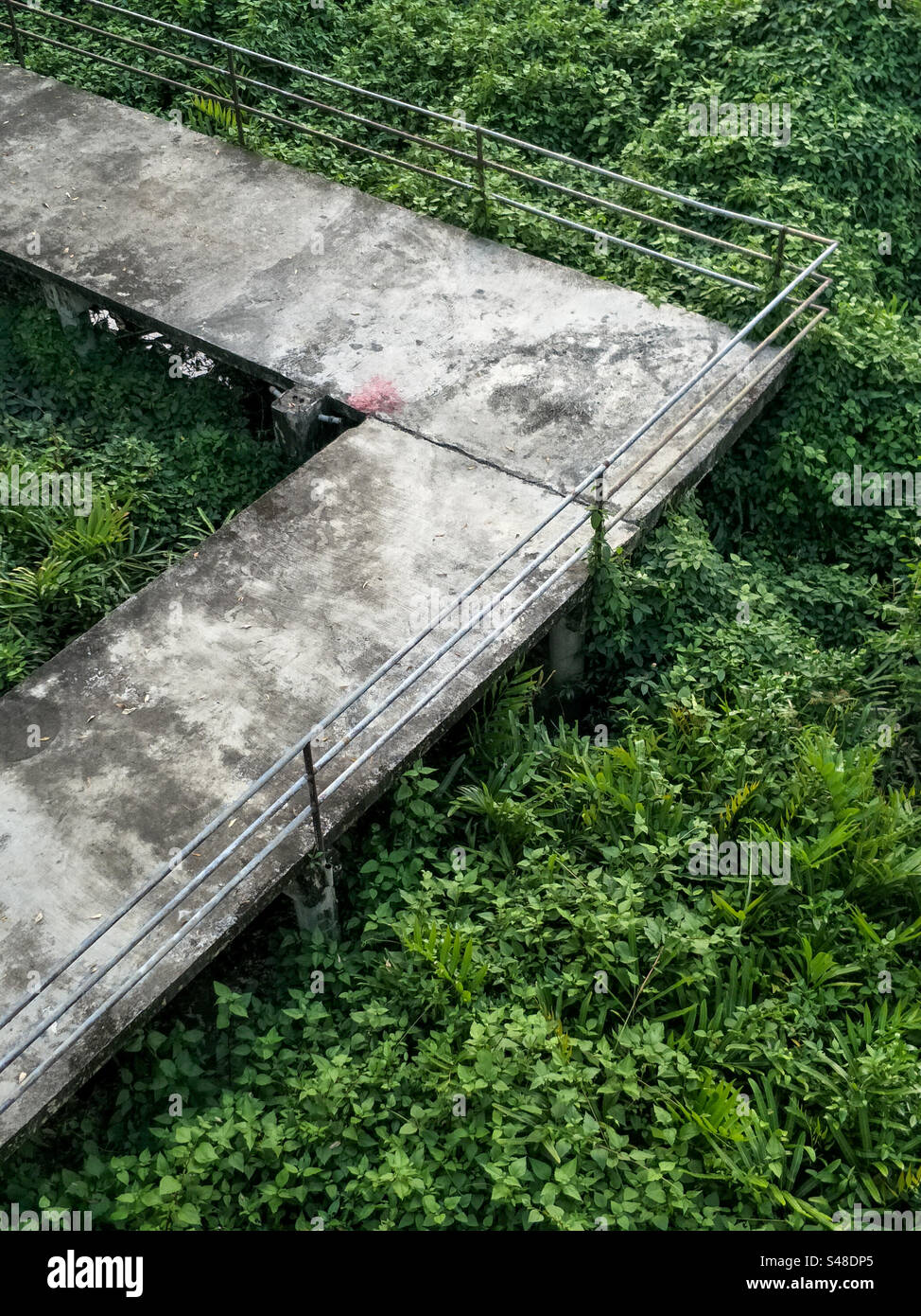 Die Brücke auf dem grünen Feld Stockfoto