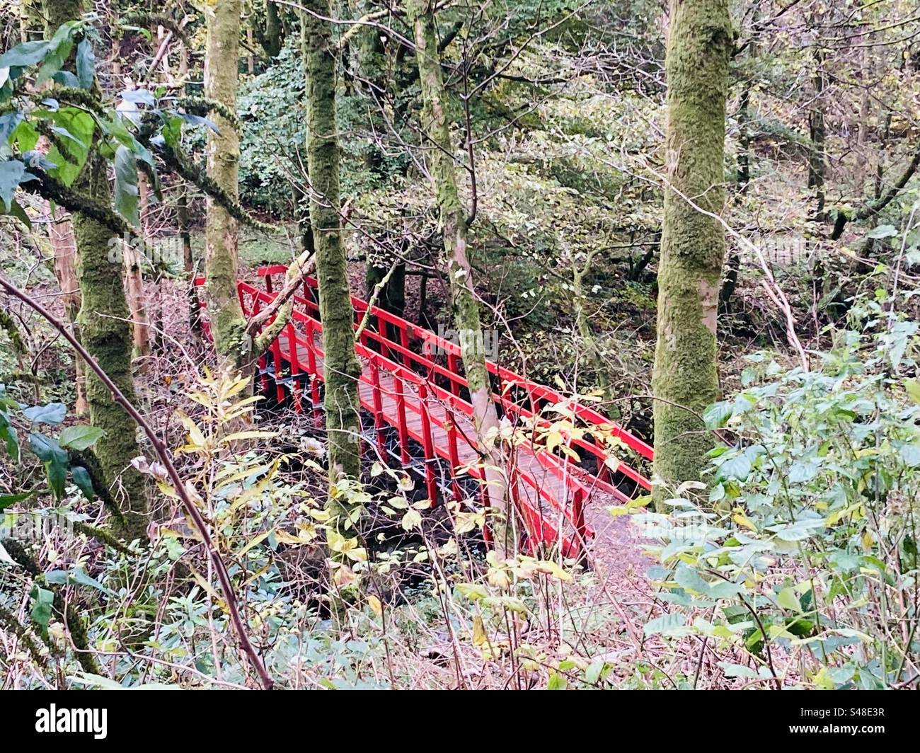 Geheime rote Brücke Stockfoto