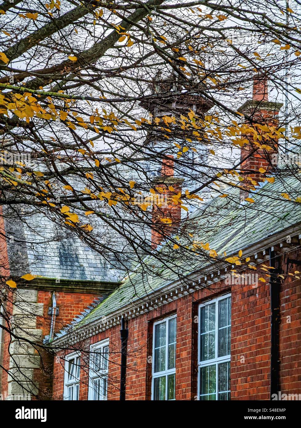 Zweige mit Herbstlaub säumen ein altes Schulgebäude in Abingdon an der Themse, Oxfordshire, England Stockfoto