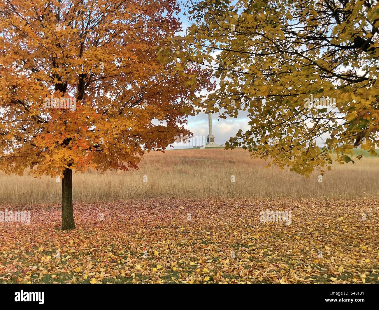 Herbsttag Stockfoto