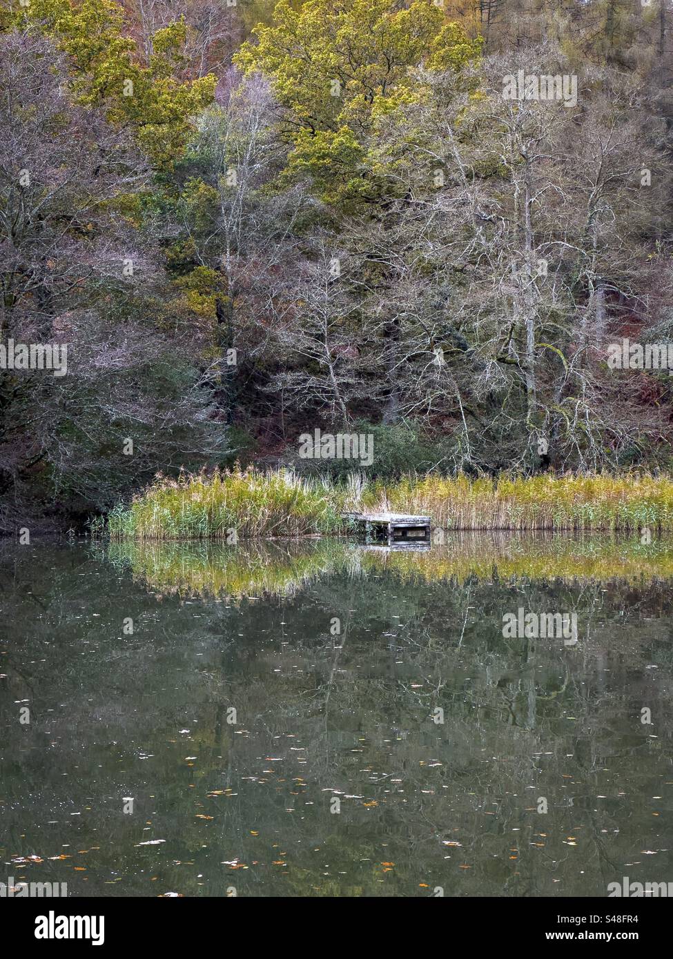 Angelplattform bei Cannop Ponds. - Smartphone-aufgenommenes Stockfoto