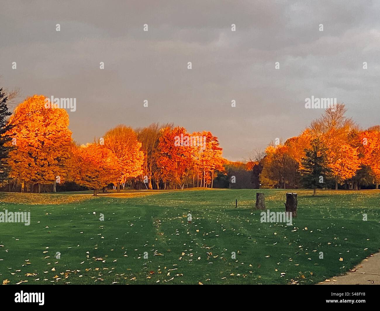Herbst 2023 im Allegan County Michigan Stockfoto