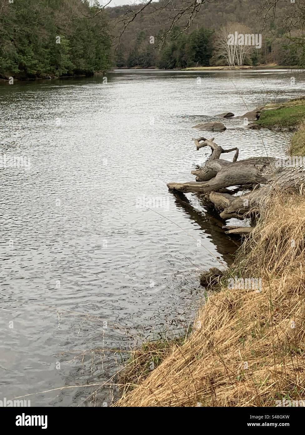 Riverside Stockfoto