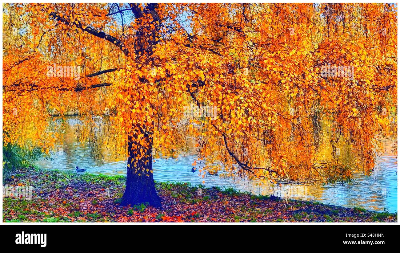 Herbst im Saint Jameses Park Stockfoto