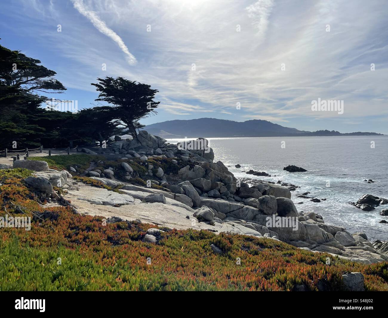 Geisterbäume am Pescadero Point in Monterey, Kalifornien Stockfoto