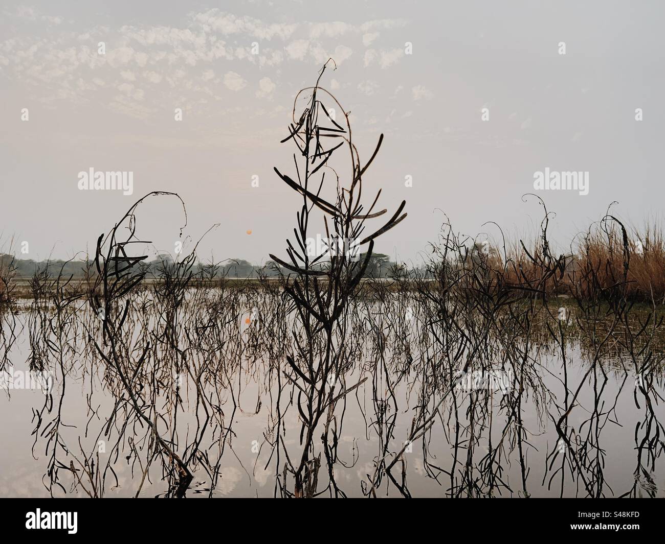 Schöne Landschaft - Smartphone-aufgenommenes Stockfoto