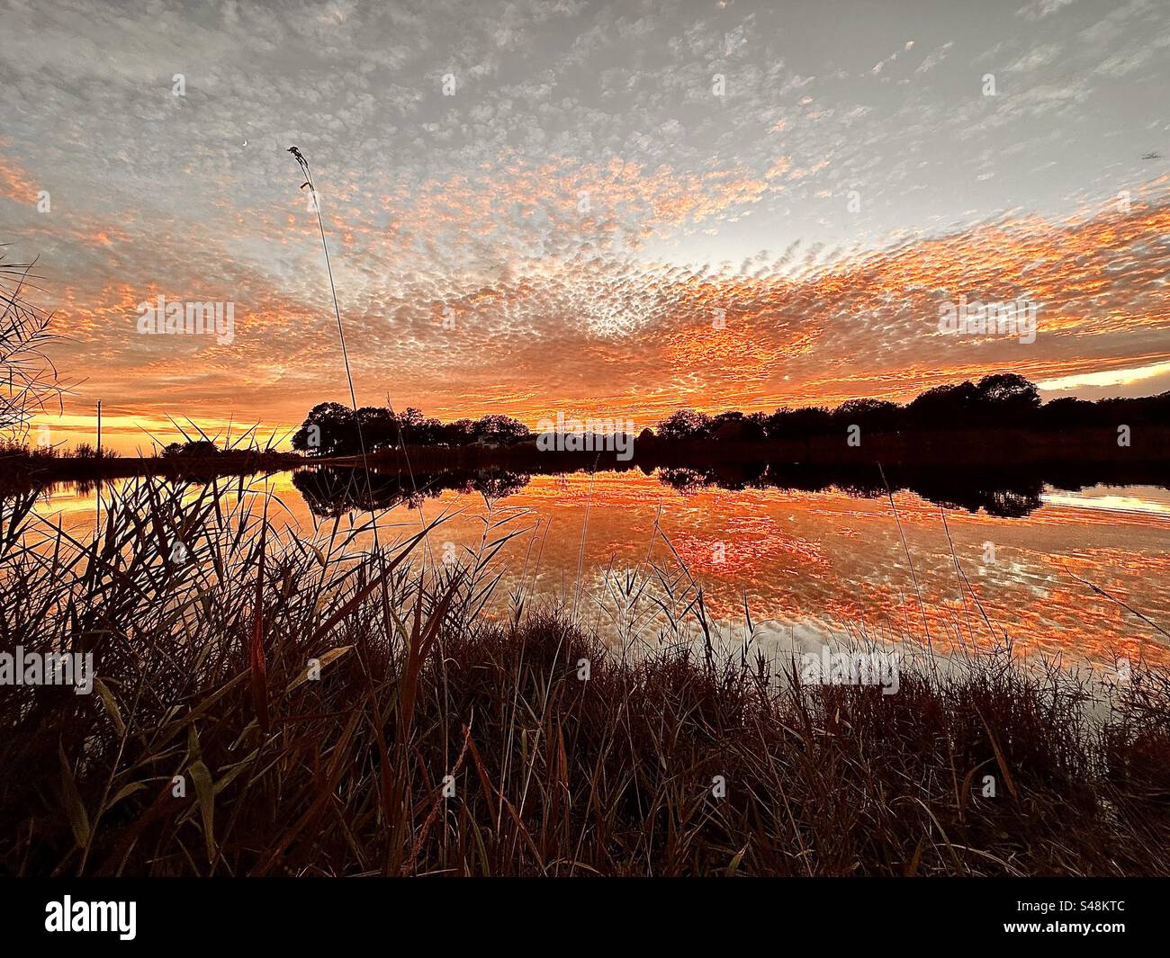 Dieser Sonnenuntergang ist faszinierend, unmöglich, die Baumlinien zu sehen, die Reflexion ist herrlich Stockfoto