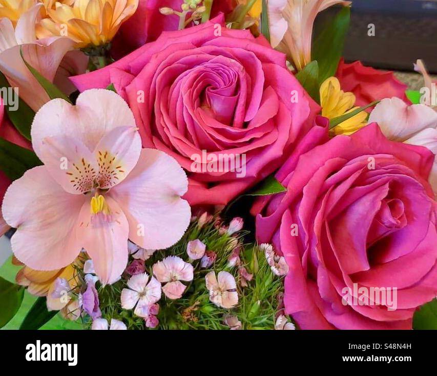 Blumenstrauß. Elegante rosa Rosen und eine wunderschöne weiße peruanische Lilie. - Smartphone-aufgenommenes Stockfoto
