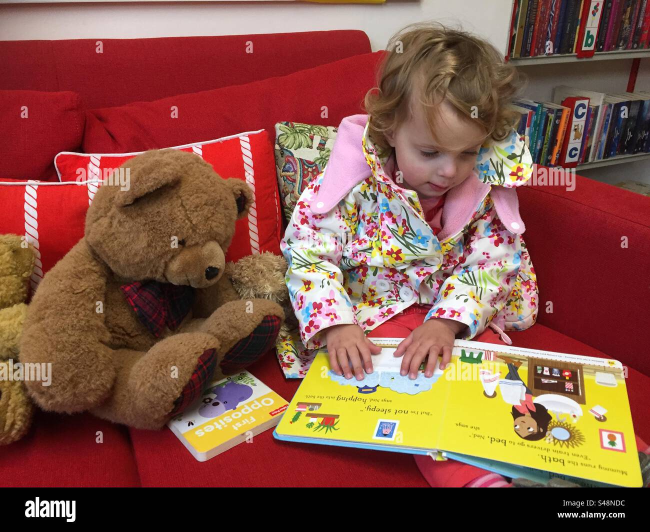 Kleinkind liest ein Buch in der Bibliothek Stockfoto