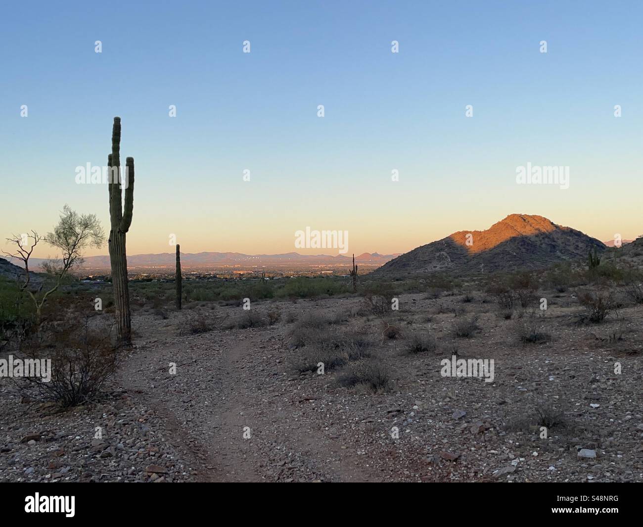 Wandern in den Sonnenuntergang, Giant Saguaro Cactus, Sonora Wüste, Phoenix Mountains Preserve, Arizona Stockfoto