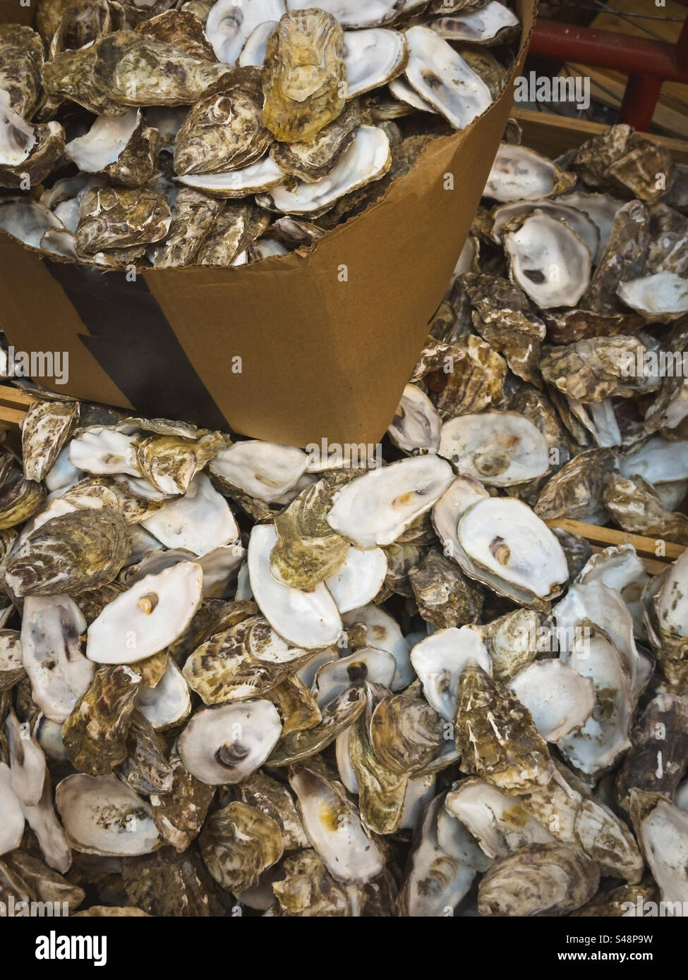 Aussortierte Oyster Muscheln vor dem Fischrestaurant: Phillip Roberts Stockfoto