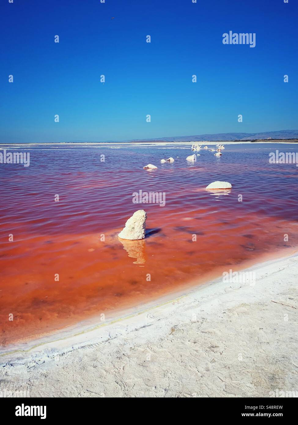 Salzablagerungen in rotgefärbtem Algenwasser Stockfoto
