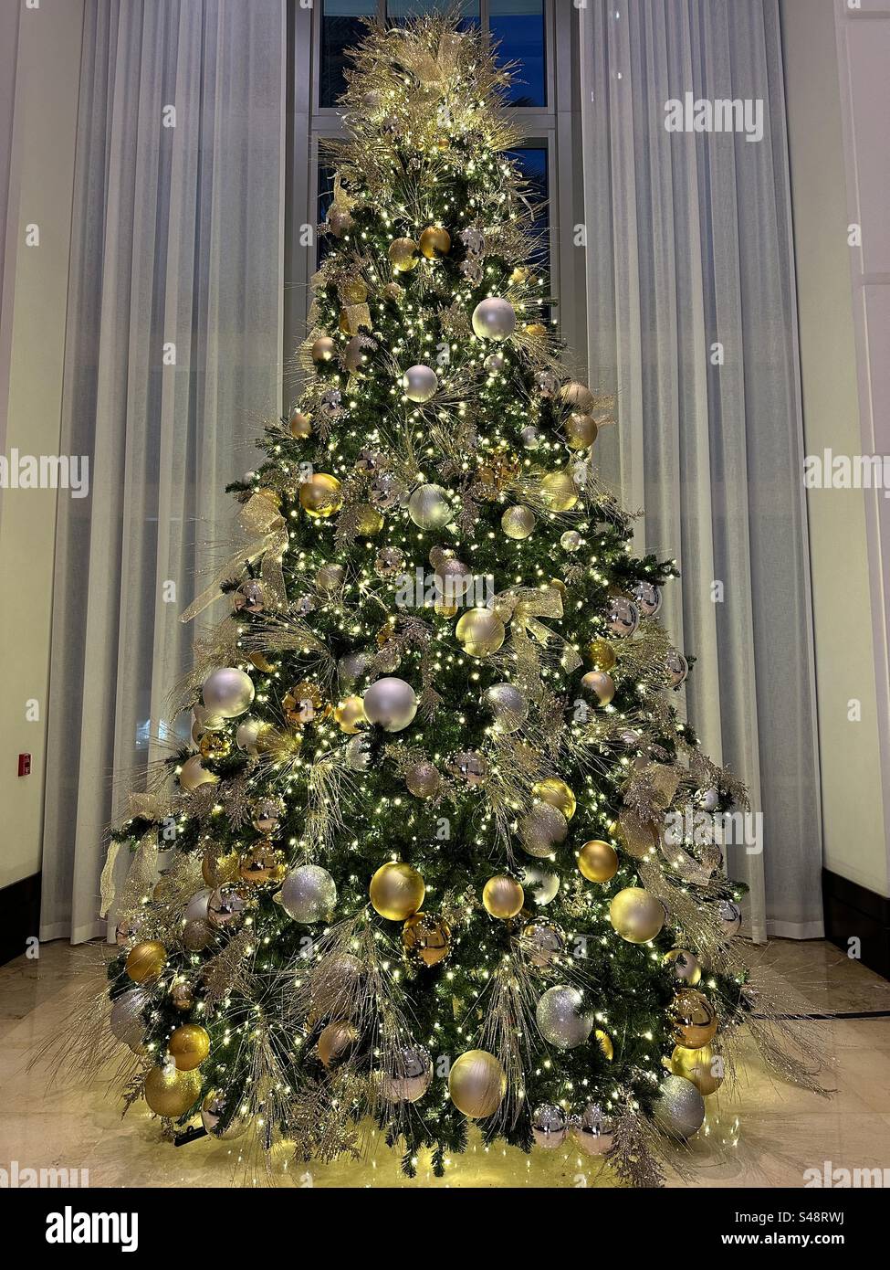 Weihnachtsbaum leuchtet auf - Smartphone-aufgenommenes Stockfoto